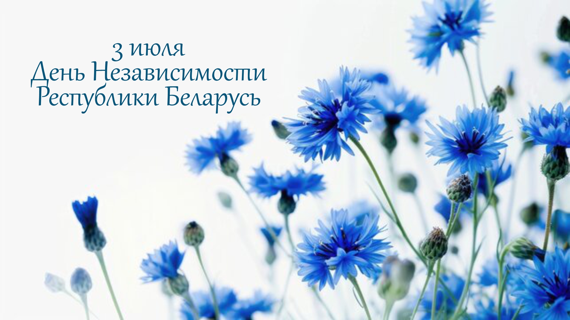 День Независимости Республики Беларусь